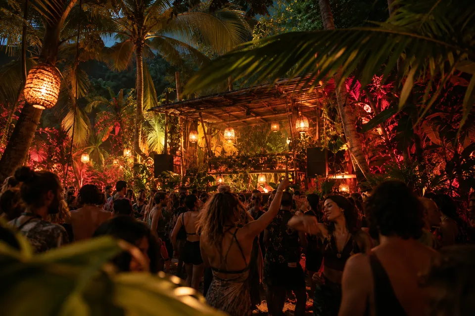 Festival illustration · Jungle Experience